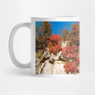 Autumn Colours in the Carso Mug